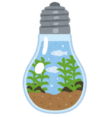 悲報 嫁がアクアリウムにハマり過ぎた末路がコレｗｗｗｗｗｗ Anoちゃんねる